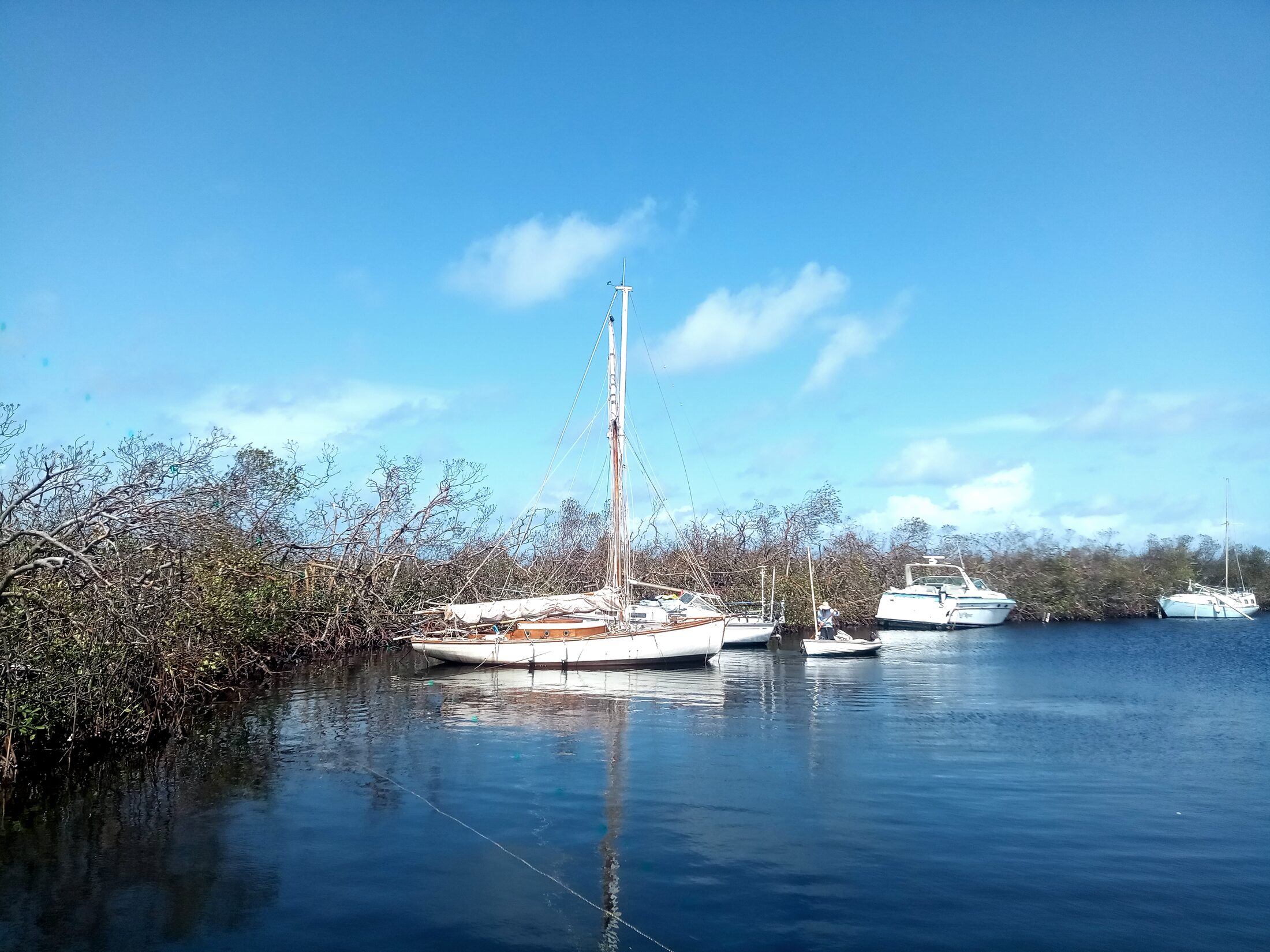 Cherub and other boats among the mangroves in calm water